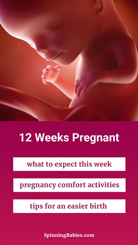 12weeks Pregnant, 12 Weeks Pregnant, Spinning Babies, Pregnancy Week, Weeks Pregnant, Pregnancy Week By Week, 12 Weeks, Baby Hacks, Prenatal