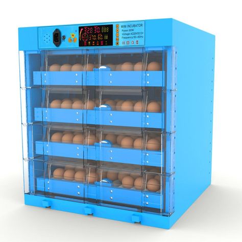 Homemade Incubator, Goose Eggs, Hatching Chickens, Chicken Incubator, Egg Incubator, Duck Eggs, Mini Egg, Hatching Eggs, Bird Eggs