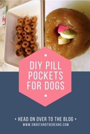 Homemade Dog Pill Pockets, Dog Pill Pockets Homemade, Pill Pockets For Dogs Homemade, Homemade Pill Pockets For Dogs, Diy Pill Pockets For Dogs, Pill Pockets For Dogs, Dog Pill Pockets, Pocket Recipes, Hattie Mae