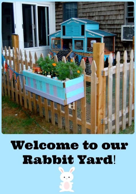 Tour our Angora rabbit's outdoor home Pig Yard, Rabbit Yard, Rabbit Cages Outdoor, Bunny Pen, Bunny Homes, Pet Enclosures, Diy Rabbit Hutch, Rabbit Pen, Outdoor Rabbit Hutch