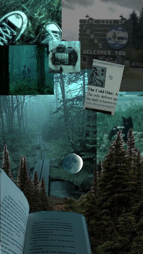 I’m in that phase again Sweater Weather Aesthetic, Forks Twilight, Weather Aesthetic, Twilight Saga Books, Carlisle Cullen, Team Edward, Twilight 2008, Forks Washington, Team Jacob