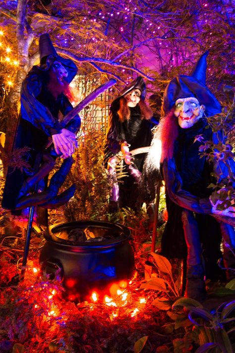 Orange string lights under a witches cauldron look like burning embers | 11 Ways To Create Spooky Halloween Lighting Outside Halloween Decorations, Halloween Diy Outdoor, Outdoor Halloween Decorations, Fairy Halloween Costumes, Yard Haunt, Diy Halloween Decor, Fire Burning, Spooky Halloween Decorations, Halloween Yard Decorations