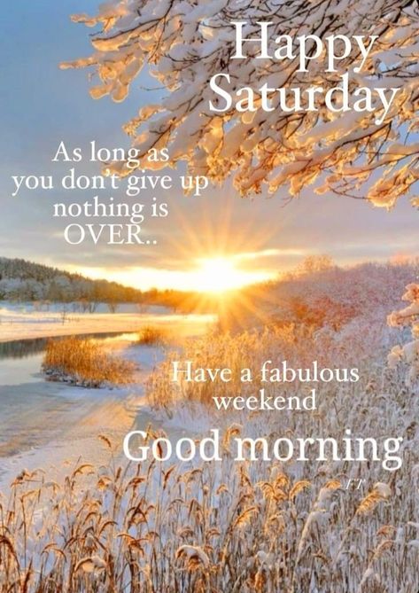 Saturday Morning Greetings, Good Morning Saturday Wishes, Saturday Morning Quotes, Saturday Blessings, Daily Wishes, Saturday Quotes, Good Morning Saturday, Flowers Quotes, Happy Weekend Quotes