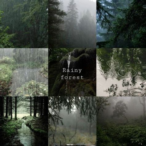 Cunning Folk, Rainy Forest, Tvd Aesthetic, Forest Vibes, Sacred Garden, Dark Forest Aesthetic, Green Witchcraft, I Love Rain, Earthy Aesthetic