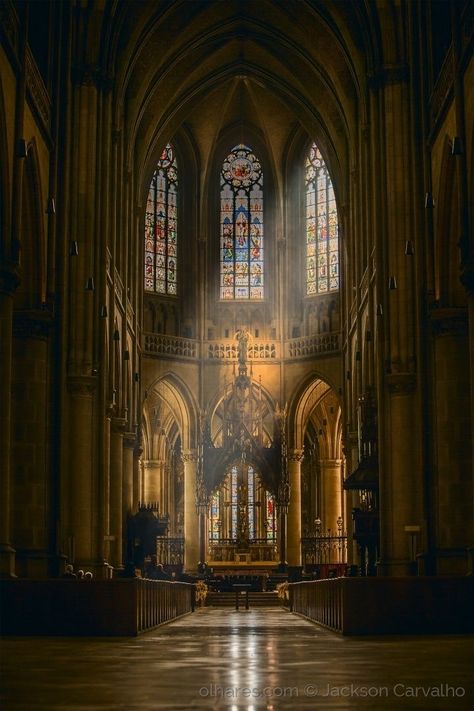 Linz Austria, Church Aesthetic, Gothic Cathedrals, Cathedral Architecture, Gothic Cathedral, Gothic Church, Sacred Architecture, Church Interior, Cathedral Church