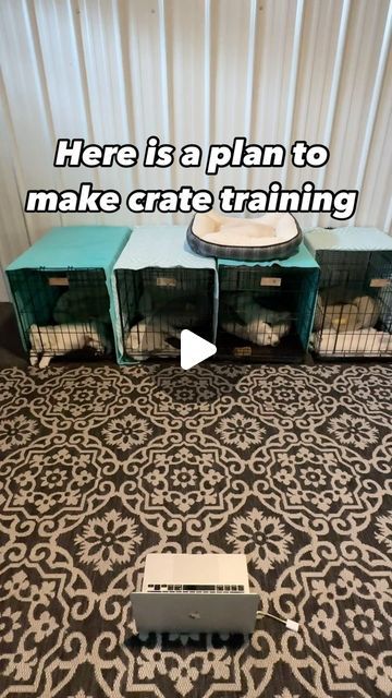 Kim Paciotti Puppy Training Specialist CPDT-KA on Instagram: "➡️Many new owners expect their puppy to love the crate from day one—only to be met with lots of crying and frustration. 🐾(even if your breeder worked on it, your puppy is now in a whole new environment!)

✅The truth is,  daytime crate training takes time, patience, and a consistent plan.

This is how I introduce our new puppies when they arrive:

Day 1-3: Introduce the Crate
Start by placing the crate in a central area.  Allow the puppy to explore it freely without forcing them inside. Work on getting the puppy to walk in on their own.  Feeding in the crate creates a positive experience.

Day 4-6: Short Sessions with the Door Closed 
Have your puppy go in the crate and play a game with the door open and closed.  Reward for calm Golden Retriever Pup, Staying Calm, Dog Behavior Training, Calming Music, Getting A Puppy, Door Open, Play A Game, Crate Training, New Environment