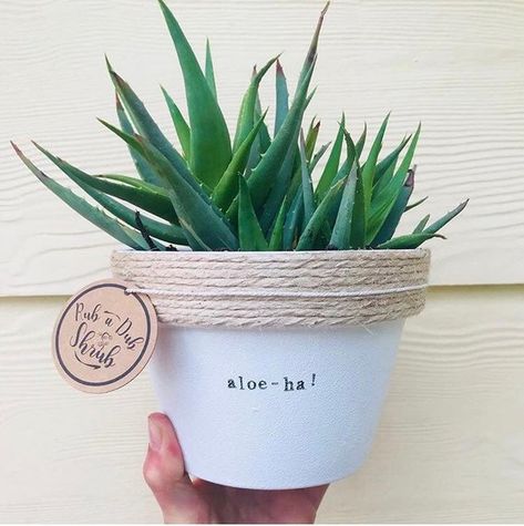 aloe - ha! | pot plant with a pun | 11cm pot Plant Puns, Have Inspiration, Container Gardens, Coron, Painted Pots, Back To Nature, Succulents Garden, Clay Pots, Aquariums