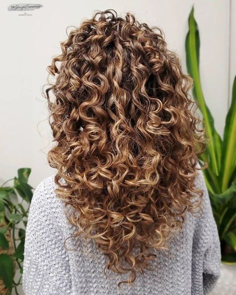 Fun Curly V Haircut Layered Curly Hair V Shape, V Curly Haircut, Curly Angled Bob Long, V Shaped Haircut Curly Hair, U Shaped Haircut Curly Hair, Curly Hair V Cut, V Cut Curly Hair, V Haircut, Basic Haircut