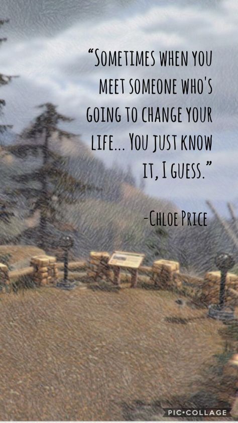 I’ve already done this quote but I like this background much better Life Is Strange Quotes Feelings, Chloe Price Quotes, Life Is Strange Quotes, Strange Quotes, Rachel Life Is Strange, Life Is Strange Wallpaper, Video Game Quotes, Life Is Strange Fanart, Red Quotes