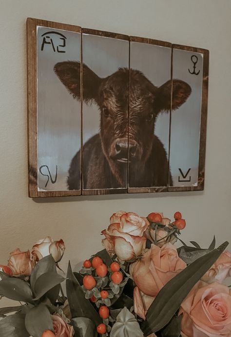 Cattle Brand Accent Wall, Western Valentines Decor, Ranch Home Decor, Black Angus Cattle, Country Cafe, Cowboy Artwork, Western Kitchen Decor, Cow Stuff, Angus Cattle