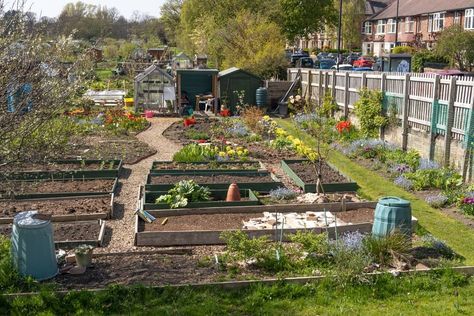 How To Start An Allotment: Beginners Guide | Horticulture.co.uk Allotment Planting Guide Uk, Allotment Plan Layout, Uk Allotment Ideas, Allotment Layout Uk, Allotment Layout Ideas, Allotment Ideas Inspiration Uk, Allotment Design Layout, Allotments Ideas, Gardening Layout Ideas