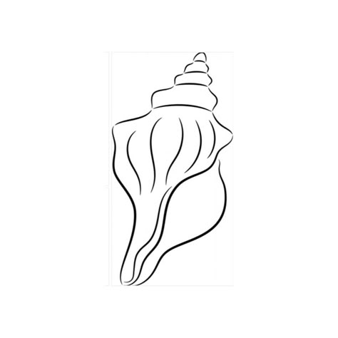 Simple Conch Shell Tattoo, Fine Line Shell Tattoo, Shell Line Drawing, Seashell Drawing, Hawaii Tattoos, Seashell Tattoos, Shell Tattoos, Ocean Tattoos, Tasteful Tattoos