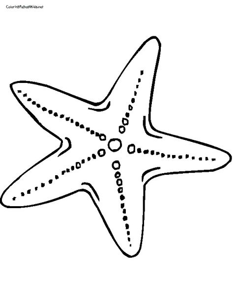 Free star fish coloring page. Paint with glue, then sprinkle with oatmeal for texture. Starfish Template, Starfish Drawing, Starfish Colors, Star Coloring Pages, Fish Coloring Page, Glue Painting, Art Projects For Adults, Stella Marina, Printable Pictures