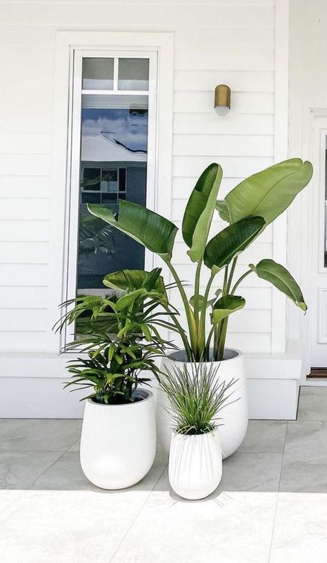 20 Beautiful Spring and Summer Front Porch Ideas for 2024 – jane at home Entry Plants Outdoor, Small Outdoor Patio Plant Ideas, Outdoor Entryway Plants, Plants On Patio, Pot Plants Outdoor Patio, Outdoor Patio Plants, Deck Plants, Outdoor Potted Plants, Front Porch Flower Pots