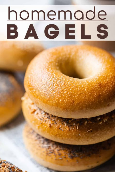 Homemade Bagels: Easy to make with pantry staples. These bake up so chewy, crusty, & flavorful, just like you get in New York! #bagelrecipe #homemade #easy #everything #newyork #sandwich #egg #best #pizza #onion #ny #noyeast #homemadenoyeast #plain #breadmachine #newyorkstyle #simple #easyeverything #baked #boiled #allpurposeflour #lox #smokedsalmon #nyc #sourdough #chewy #soft #easyhomemade #sandwichbreakfast #withoutyeast #bakingamoment Easy Few Ingredient Breakfast, Fast Rising Yeast Recipes, Bagel Recipe With All Purpose Flour, Plain Bagels Recipe Homemade, Nyc Bagels Recipe, Egg Bagels Recipe Homemade, Recipe For Bagels, Soft Bagel Recipe, The Best Bagel Recipe