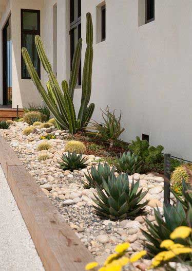 This drought-tolerant garden succulent will make your garden look gorgeous without sucking your time and effort. Pun intended. 30 Low-water Landscaping Ideas For Your Garden - Water free landscape garden ideas #landscaping #landscapeideas #lowwaterlandscape #gardenideas #farmfoodfamily Kaktus Dan Sukulen, Low Water Landscaping, Arizona Backyard, Side Walk, Dry Garden, Low Maintenance Landscaping, Rock Garden Landscaping, Desert Garden, Cactus Garden