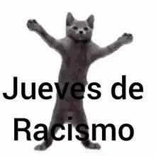 Spanish Memes, Cartoon Memes, Memes Humor, Funny Profile Pictures, Silly Pictures, Cute Memes, Cartoon Jokes, Meme Faces, Silly Cats