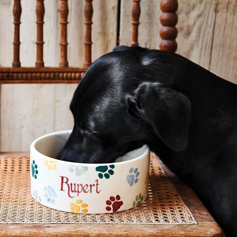 emma bridgewater pottery pet dog bowl personalised. click through to buy our pick of the most beautiful designs, all beautifully made in britain #emmabridgewater #pottery #dogbowl #pets #frombritainwithlove Handmade Pottery Dog Bowl, Ceramic Painting Dog Bowl, Pottery Painting Ideas Dog Bowl, Pottery Dog Bowl Ideas, Dog Bowl Painting Ideas, Hand Painted Dog Bowl, Ceramic Dog Bowl Painting Ideas, Pottery Painting Dog Bowl, Dog Bowl Pottery Painting