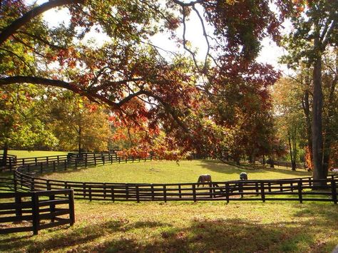 Open Gates, Dream Horse Barns, Dream Stables, Future Farms, Dream Farm, Dream Barn, Looking Out The Window, Dream Horse, Horse Ranch