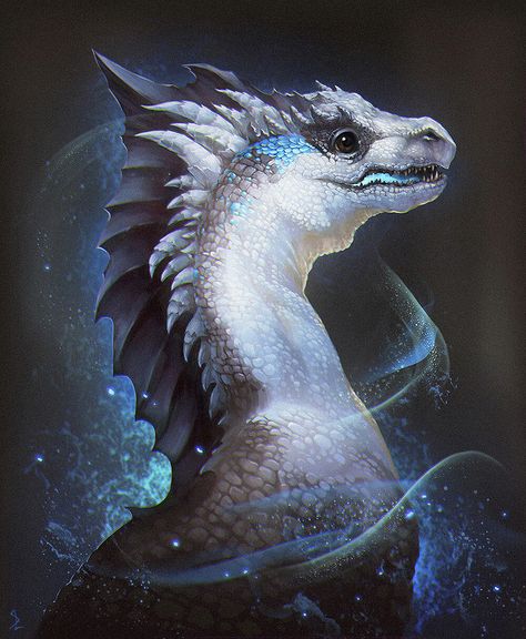 Dragon Head Drawing, Dragon Hatchling, Dragon Tales, Ice Dragon, Cool Dragons, Fairy Dragon, Here Be Dragons, Wings Art, Fantasy Animals