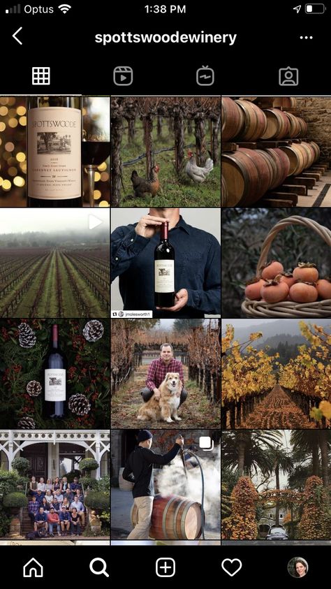 Wine Shop Instagram Feed, Rustic Instagram Feed, Winery Branding Photography, Wine Instagram Post Ideas, Winery Instagram Feed, Wine Social Media Post, Wine Instagram Feed, Wine Social Media Design, Winery Social Media