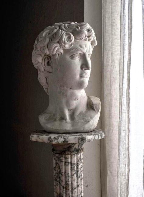 Statue of David Bust On Marble Pedestal Bust Of David, David Bust, Objects Art, Atlanta Artist, Greek Statues, Beautiful Arabian Horses, Roman Sculpture, Bedroom Deco, Neo Classical