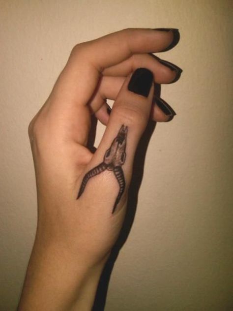 Capricorn Tattoo Finger, Cow Finger Tattoo, Bull Skull Finger Tattoo, Cow Skull Hand Tattoo, Skull Finger Tattoo, Skull Finger Tattoos, Thumb Tattoo, Cow Skull Tattoos, Buck Skull