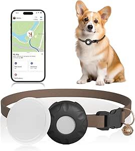 Dog Tracker, Pet Tracker, Time Tracking, Me App, Pet Care Tips, Gps Tracker, Catfish, Dogs Cats, Small Pets