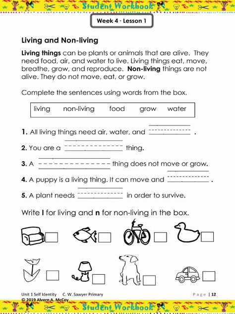 Non Living Things, Characteristics Of Living Things, Grade 2 Science, Grade 3 Science, First Grade Reading Comprehension, Living And Nonliving, Worksheets For Class 1, Worksheets For Grade 3, English Worksheets For Kindergarten