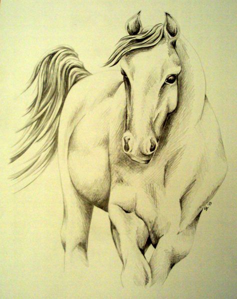 l Equine Art Pencil Drawings, Horse Pencil Drawing, Horse Head Drawing, Horse Tattoo Design, Artwork Pencil, Horse Art Drawing, Horse Sketch, Horse Tattoo, Soyut Sanat Tabloları