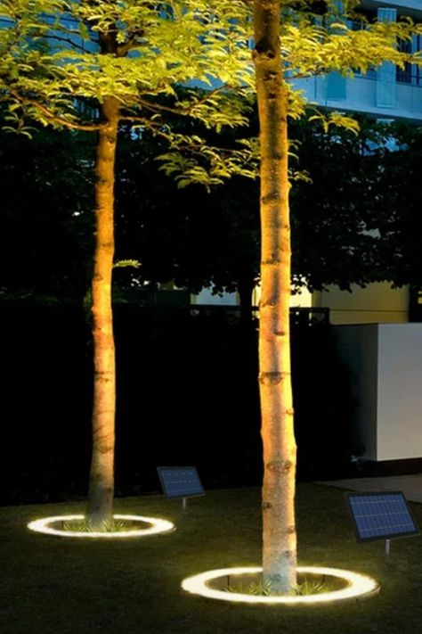 Illuminate trees, palm trees, flag poles, planters, and more around your home from the ground up in 360-degrees using this solar-powered LED tree uplight ring. Palm Tree Light, Planters With Poles For Lights, Tree Ring Ideas, Uplighting Trees, Illuminated Trees, Tree Uplighting, Solar Tree, Palm Tree Lights, Outdoor Tree Lighting