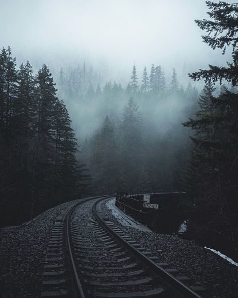 Paradis Sombre, Dark Naturalism, Dark Forest Aesthetic, Rainy Day Aesthetic, Dark Paradise, Train Tracks, Night Aesthetic, Dark Forest, Nature Aesthetic