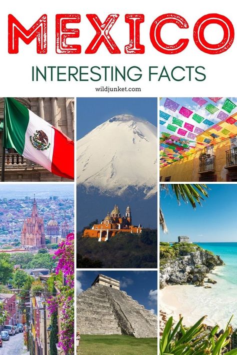 Mexico Project, Mexico School Project, Mexican History, Mexico Geography Project, Mexico For Preschoolers, Mexican Flag, Fun Facts About Mexico, Mexico For Kids, Mexico Country