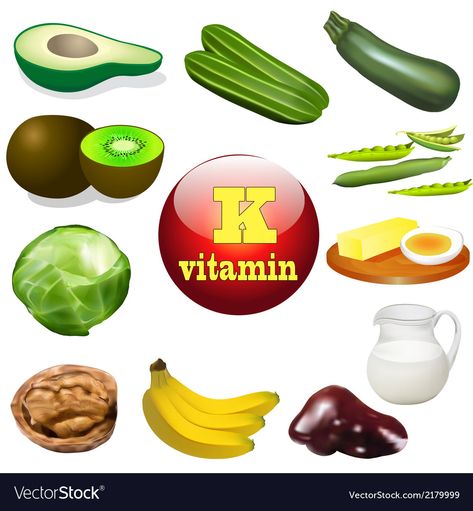 Vitamin K Royalty Free Vector Image - VectorStock Vitamin K Foods, Outdoor Camping Kitchen, Vitamin A Foods, Nutrition Certification, K Food, Holistic Nutritionist, Healthy Diet Tips, Animal Products, Nutrition Guide