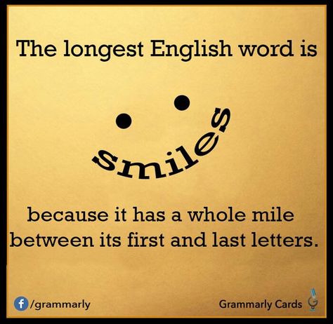 There's a mile in "smile" Longest Word In English, National Smile Day, Word In English, Meaningful Sentences, Longest Word, Love Puns, English Word, Funny Animal Quotes, When You Smile