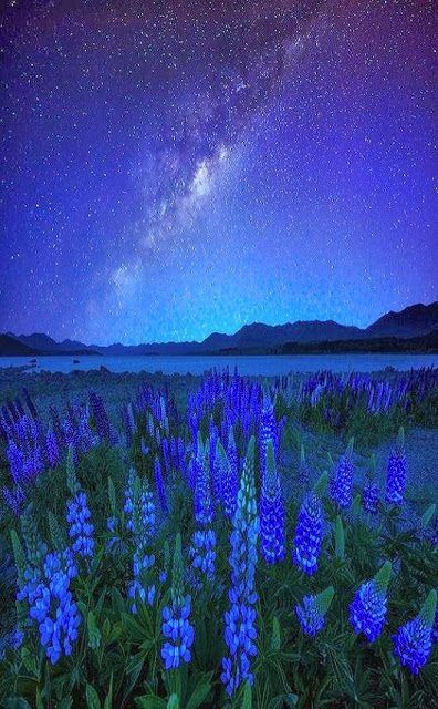 new zealand haka tours Lake Tekapo New Zealand, Tekapo New Zealand, Cer Nocturn, The Night Sky, Pretty Places, Beautiful World, Night Sky, Night Skies, Beautiful Landscapes