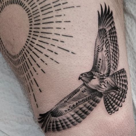 Hawk Tattoo Native American, Soaring Hawk Tattoo, Hawk Line Tattoo, Dainty Hawk Tattoo, Perched Hawk Tattoo, Hawk Arm Tattoo, Hawk Tattoo Forearm, California Condor Tattoo, Sparrow Hawk Tattoo