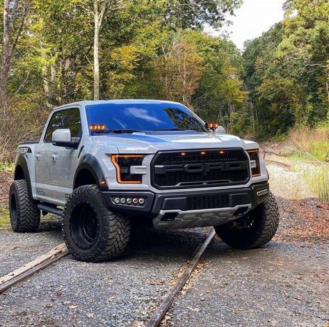 Ford Raptor Truck, Raptor Truck, Jeep Pickup Truck, Ford Trucks F150, Ford F150 Raptor, Ford Ranger Raptor, Ford Ranger Truck, Ford Mustang Fastback, Ford 4x4