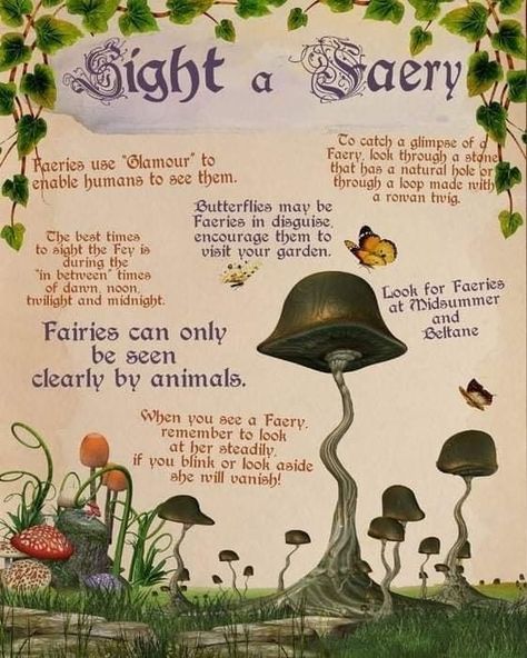 Fairy Offering Ideas, Fae Offerings, Fairy Offerings, Fairy Facts, Fairy Sightings, Beltane Aesthetic, Fairies Facts, Faery Magick, Fae Witch