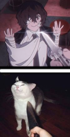 Anime With Knife, Dazai With Cat, Cat With Knife Drawing, Cat Dazai, Knife Pictures, Cat Knife, Knife Cat, Cat With Knife, Silly Meme