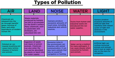 Types Of Pollution, Land Pollution, Great Pacific Garbage Patch, Steam Projects, Industrial Waste, Noise Pollution, Human Human, Water Pollution, Environmental Pollution