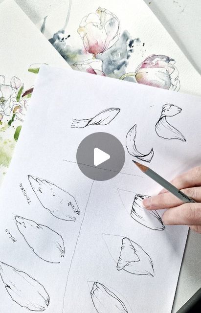 How To Draw Petals, Flower Petals Drawing, Free Drawing, Botanical Line Drawing, Instagram Add, Watercolor Flower Art, Watercolor Flower, Artist On Instagram, Flower Petals