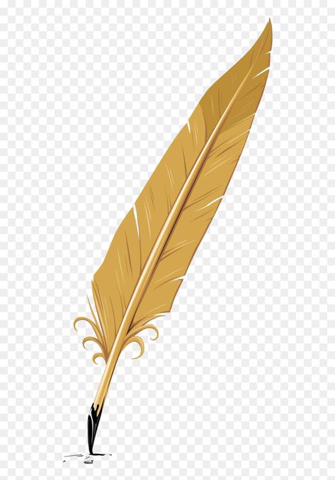 Writing Feather, Feather Png, Feather Clip Art, Studio Background Ideas, Feather Icon, Feather Quill Pen, Feather Illustration, Pen Icon, Antler Art