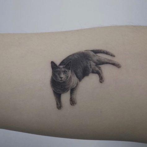 Russian Blue 🌌 Studiobysol Russian Blue Cat Tattoo, Gray Cat Tattoo, Tattoo Gato, Russian Cat, Cat Tat, Black Russian, Cat Tattoos, Blue Tattoo, Russian Blue Cat