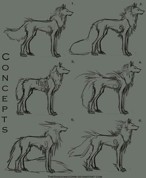 Wolf Pelt Drawing, Wolf Standing Drawing, How To Draw Wolves, Wolf Tail Drawing, Animal Base Drawing, Animal Art Reference, Draw A Wolf, Wolf Poses, Wolf Sketch