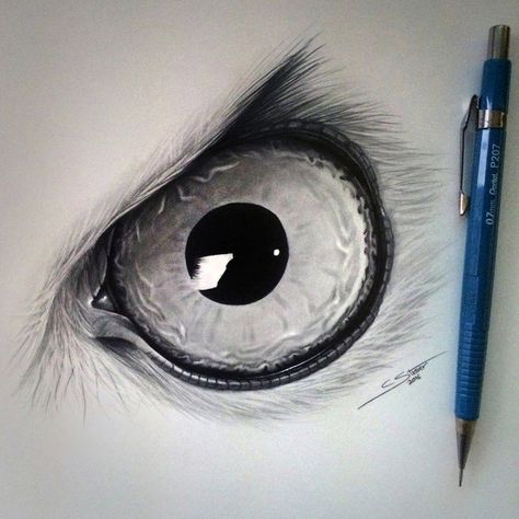 Owl Eye Drawing by LethalChris Owl Eye Drawing, Bird Eye Drawing, Owl Eyes Drawing, Animal Eyes Drawing, Drawing Of An Owl, Owl Eye Tattoo, Eyes Sketch, Insect Eyes, Hyperrealism Paintings