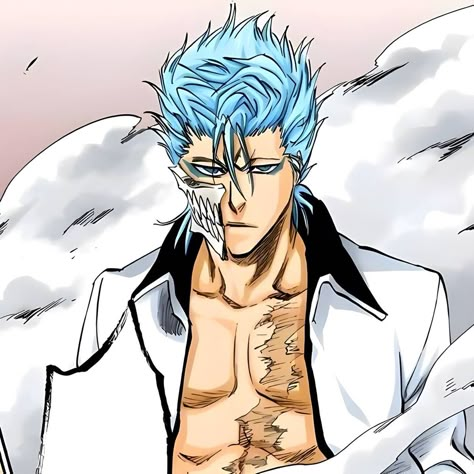 Grimmjow Icon, Grimmjow Jaegerjaquez, Byakuya Kuchiki, Bleach Anime Art, Kurosaki Ichigo, Ju Jitsu, Bleach Characters, Bleach Art, Gothic Anime