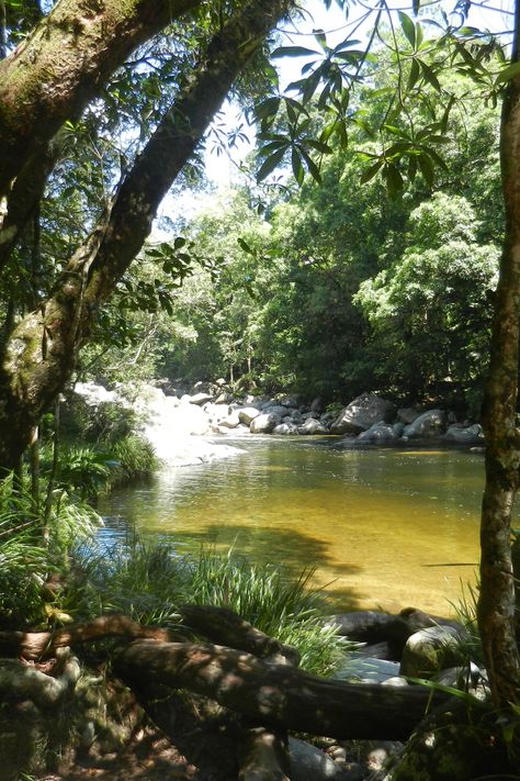 Mossman Gorge Mossman Gorge, Australia Lifestyle, Daintree Rainforest, Australia Vacation, Port Douglas, Swimming Holes, Queensland Australia, Cairns, Modern Buildings