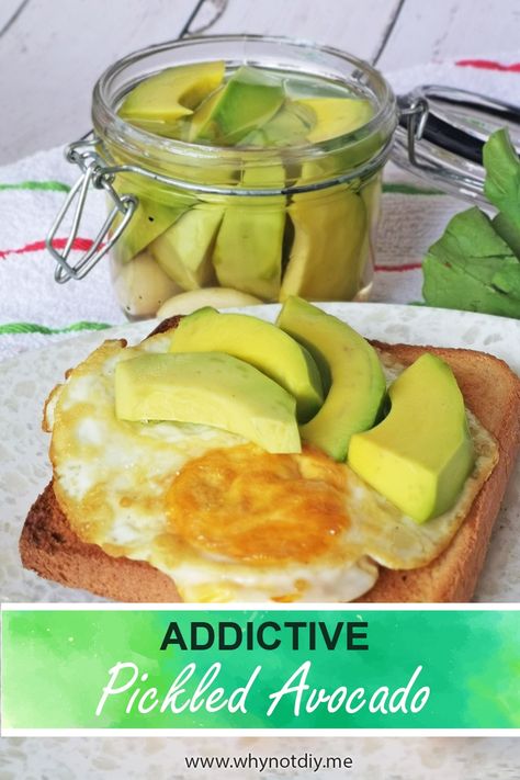 Now you can save your avocado from ripening with one of the quick easy recipes: this addictive pickled avocado recipe. Within a couple of minutes, these addictive pickled avocados will be ready to go straight to your tummy. #foodrecipes #whynotdit #diyfood #fooddiy #healthyrecipes #quickrecipes #easyrecipes #healthysnacks#fortheloveofacocados #pickledavocado #avocadopickles #besthealthyrecipes #healthyfoodrecipes #quickeasyrecipes #easyhealthyrecipes #diyfood #fooddiy #recipesdiy #diyrecipes Pickled Avocado, Pickled Avocado Recipe, Unripe Avocado, Pickled Vegetables Recipe, Avocado Recipe, Quick Easy Recipes, Beach Food, Beach Meals, Meals In A Jar