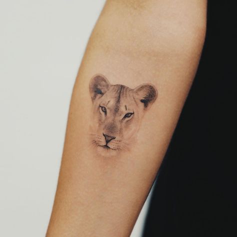 230+ Lioness Tattoo Ideas and Designs (2023) - TattoosBoyGirl Elijah Tattoo, Lioness Tattoo Ideas, Small Lion Tattoo For Women, Lioness Tattoo Design, Female Lion Tattoo, Small Lion Tattoo, Lioness Tattoo, Leo Tattoos, Classy Tattoos